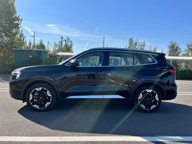 Ford Lingrui — Фото автомобиля 4