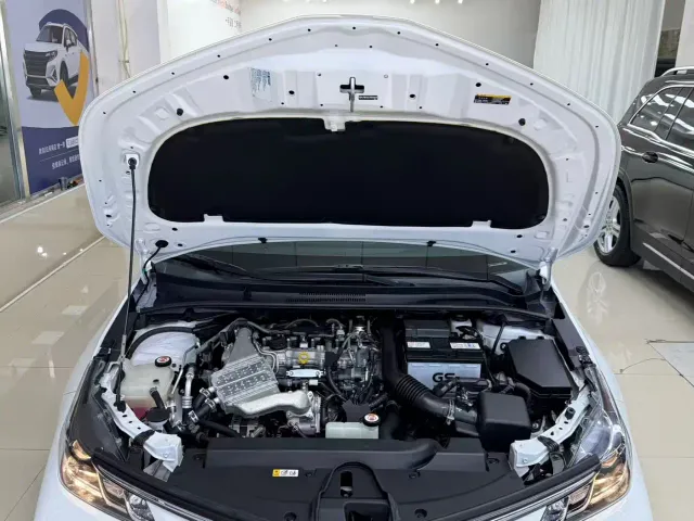 Toyota Corolla — Фото автомобиля 23