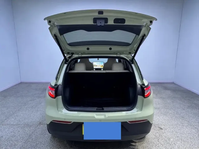 Geely Starry Wish — Фото автомобиля 18