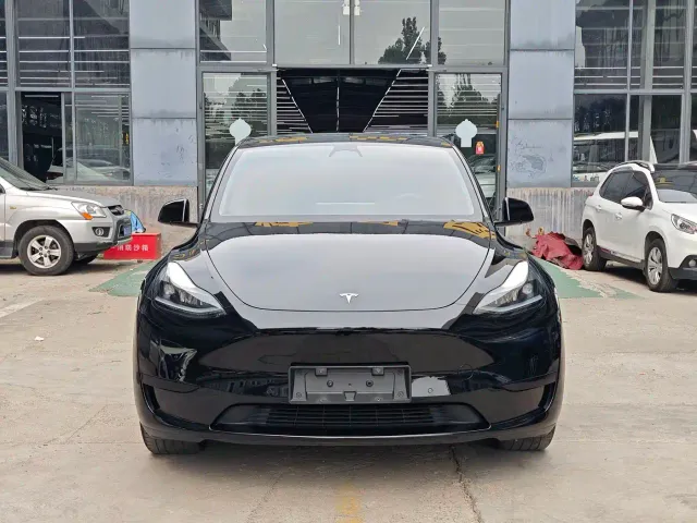 Tesla Model Y — Фото автомобиля 2