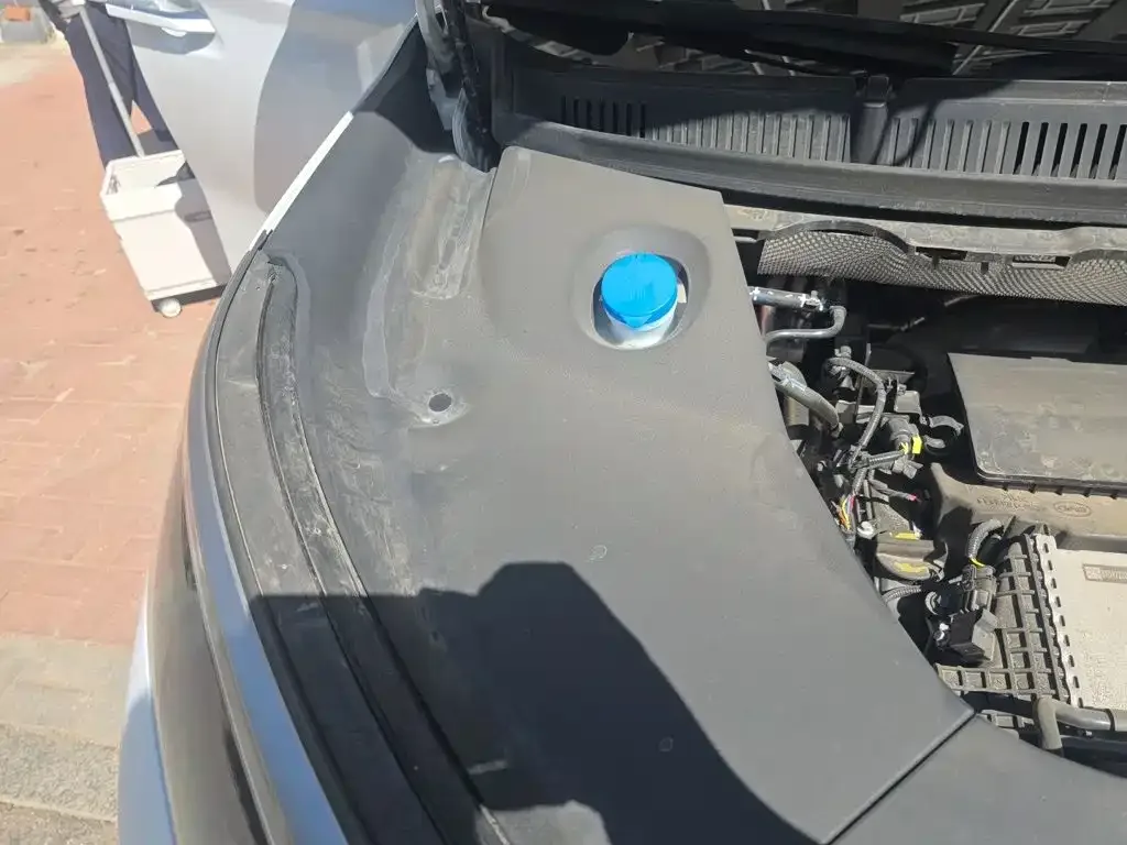 BYD Xia 2025 DM-i 1.5T 180km Surpass Edition — Фото автомобиля 17