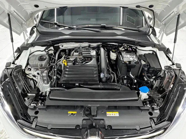 Volkswagen Lamando — Фото автомобиля 17