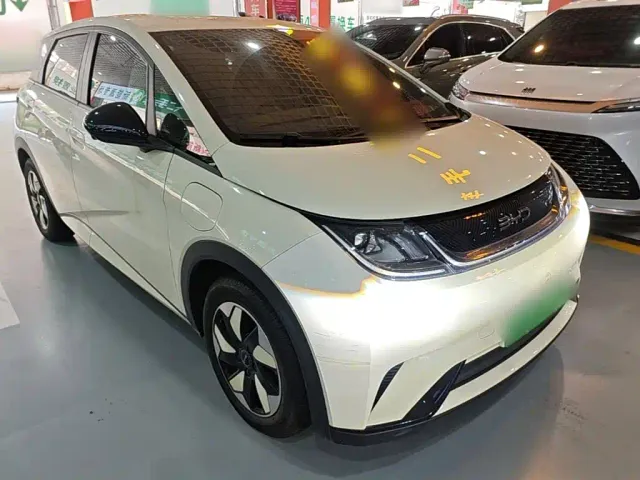 BYD Dolphin — Фото автомобиля 3