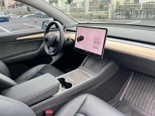 Tesla Model Y 2021 Standard Range Rear-Wheel Drive — Фото автомобиля 12