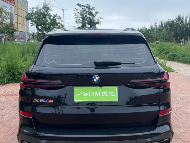 BMW X5 — Фото автомобиля 8