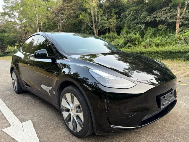 Tesla Model Y — Фото автомобиля 3