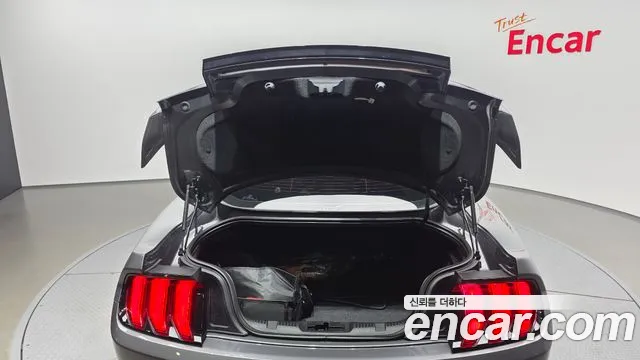 Ford Mustang — Фото автомобиля 20