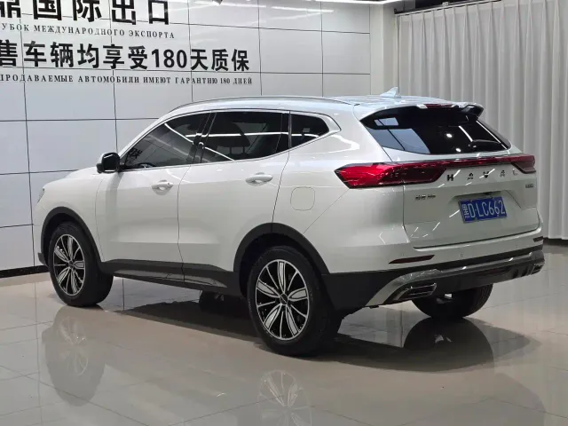 Haval Haval H6 2021 Model National Trend Edition 1.5T Auto Champion — Фото автомобиля 6