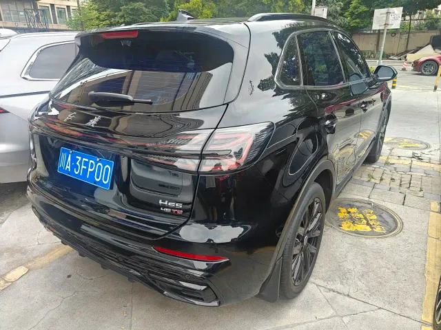 Hongqi HS5 — Фото автомобиля 16