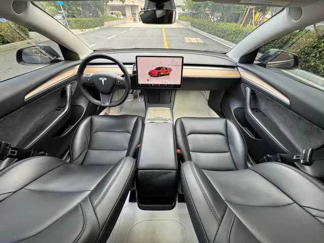 Tesla Model 3 — Фото автомобиля 15