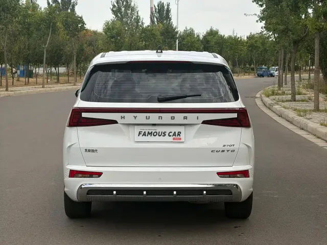 Hyundai Custo — Фото автомобиля 5