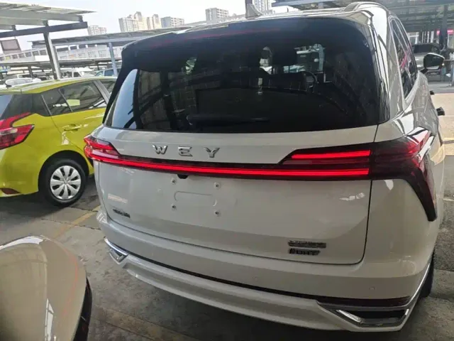 Wey Lanshan — Фото автомобиля 5