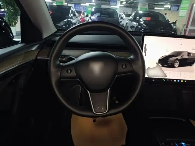 Tesla Model Y — Фото автомобиля 10