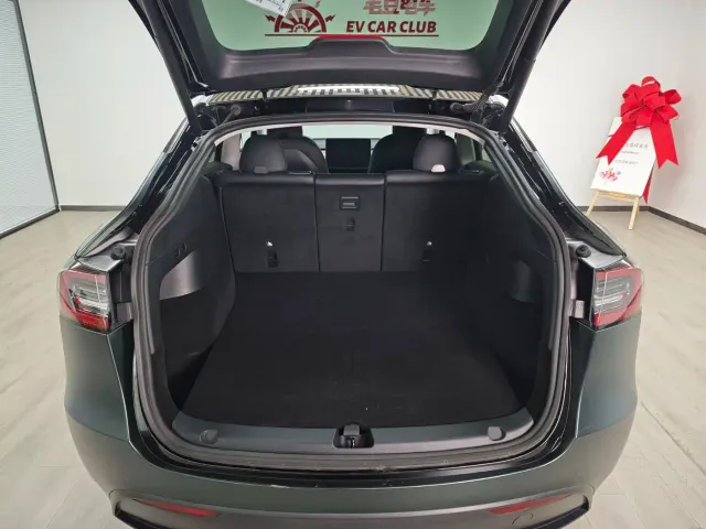 Tesla Model Y — Фото автомобиля 8