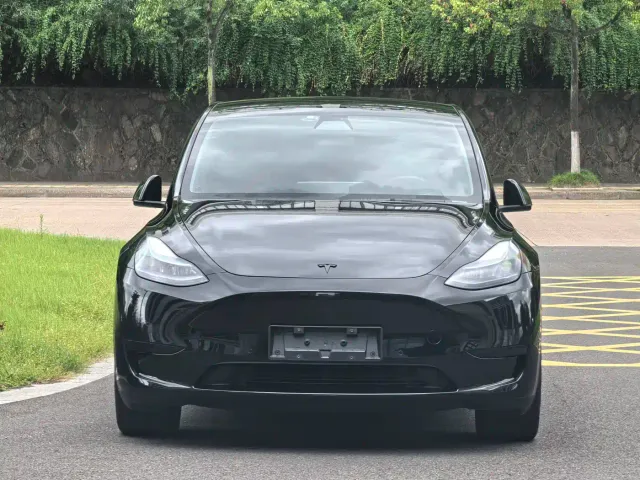 Tesla Model Y — Фото автомобиля 2
