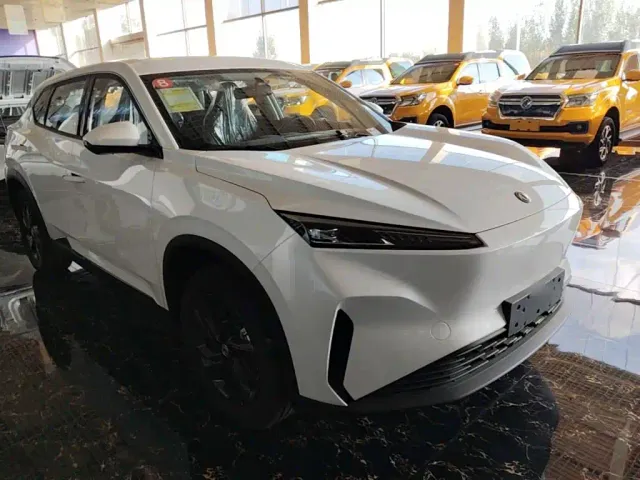 Dongfeng SKY EV01 — Фото автомобиля 3
