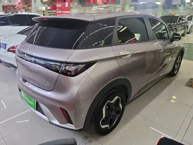 BYD Dolphin 2021 Model 405km Fashion Edition — Фото автомобиля 6