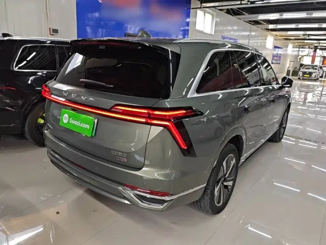 Wey Lanshan — Фото автомобиля 6