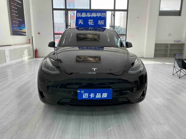 Tesla Model Y — Фото автомобиля 2