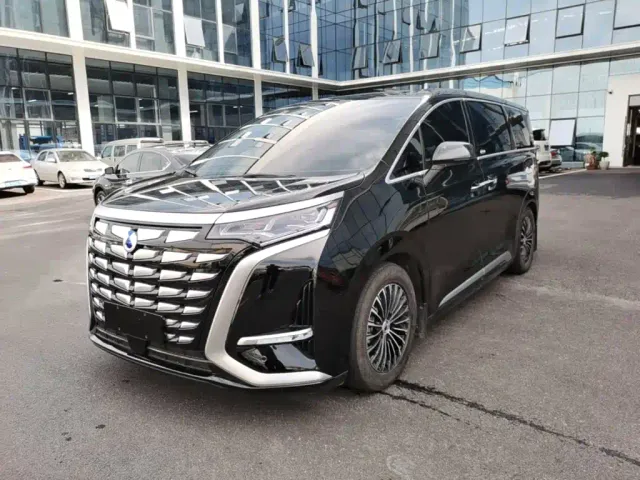 Фотография автомобиля — Denza D9