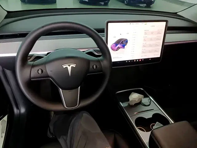 Tesla Model Y — Фото автомобиля 9