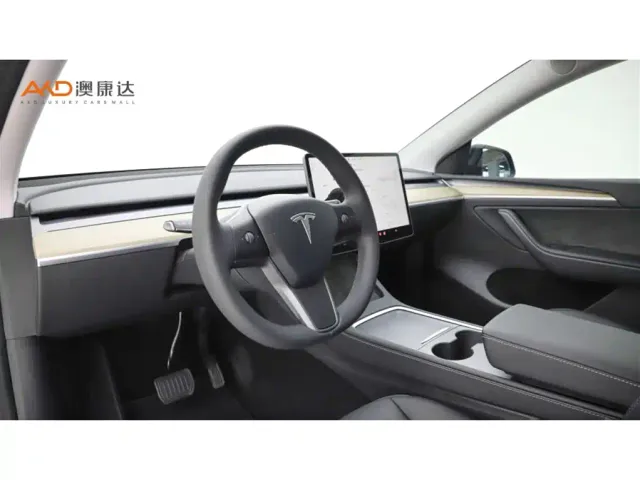 Tesla Model Y — Фото автомобиля 6