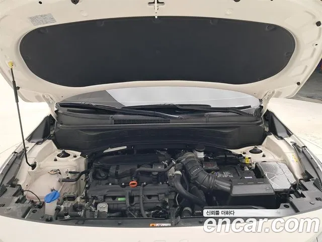 Kia Seltos New — Фото автомобиля 19