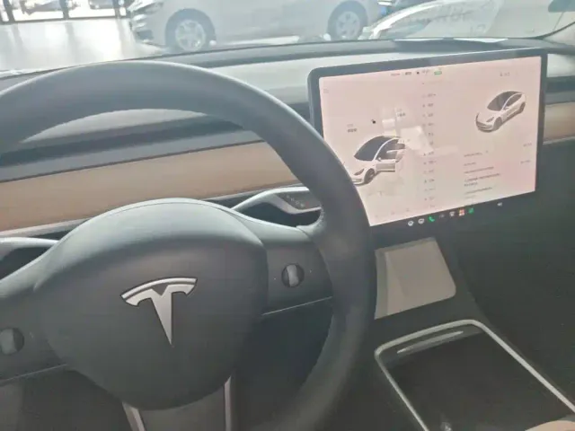 Tesla Model 3 — Фото автомобиля 13