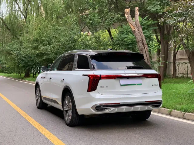 Hongqi E-HS9 — Фото автомобиля 6