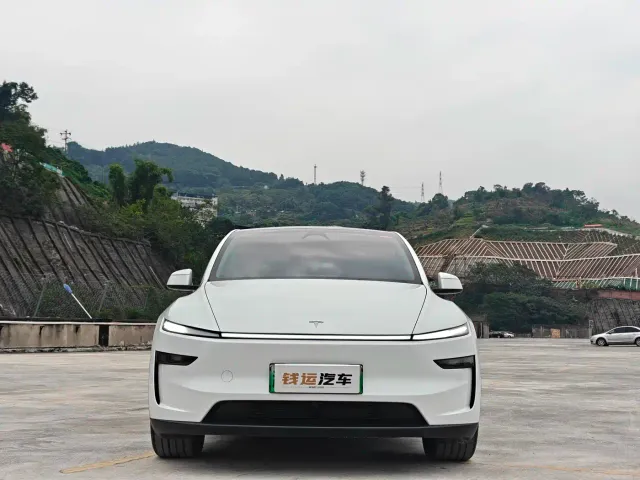 Tesla Model Y — Фото автомобиля 4