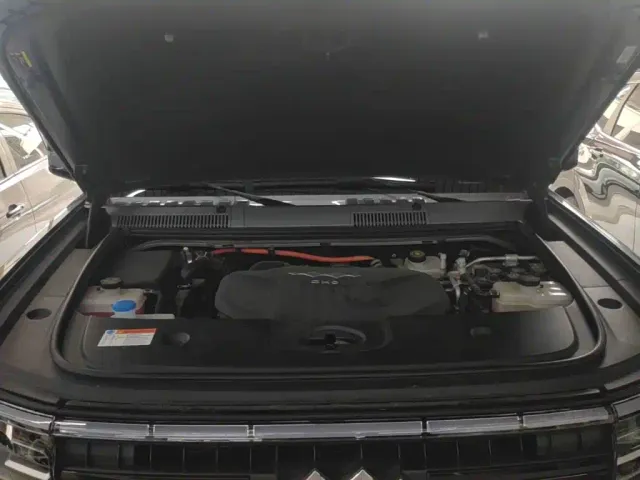 BYD FangChengBao Leopard 5 — Фото автомобиля 19