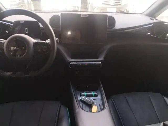 BYD Dolphin — Фото автомобиля 12