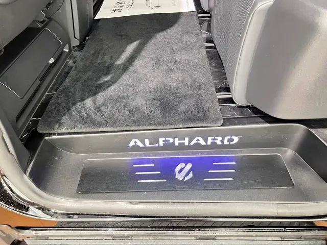 Toyota Alphard — Фото автомобиля 14