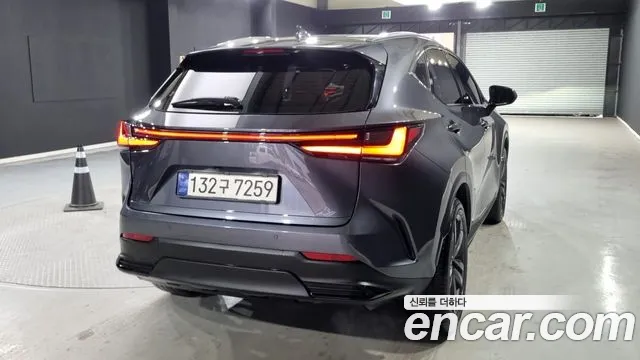 Lexus NX 2nd Gen — Фото автомобиля 3