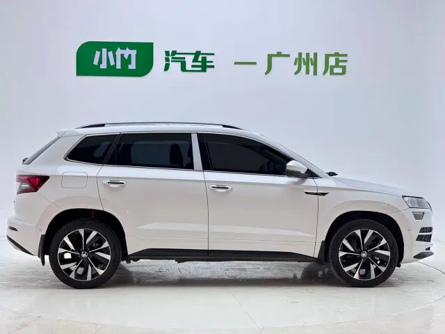 Skoda Karoq — Фото автомобиля 8