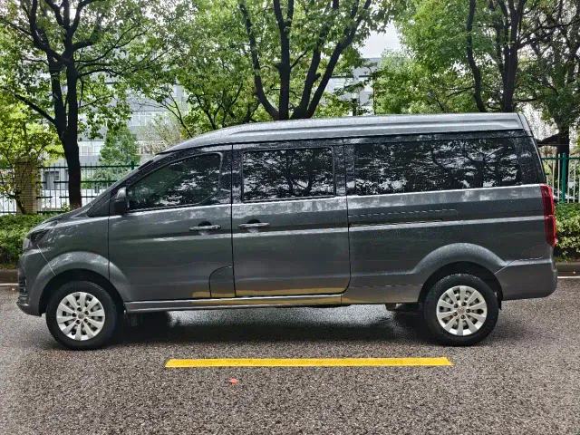 Jinbei Golden Sea Lion Classic — Фото автомобиля 6