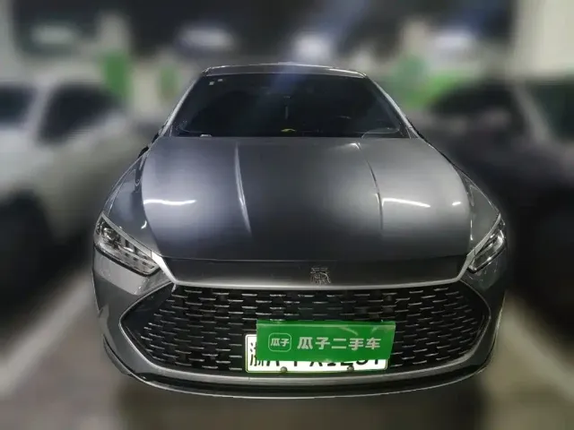 BYD Qin PLUS 2021 DM-i 55KM Flagship — Фото автомобиля 2