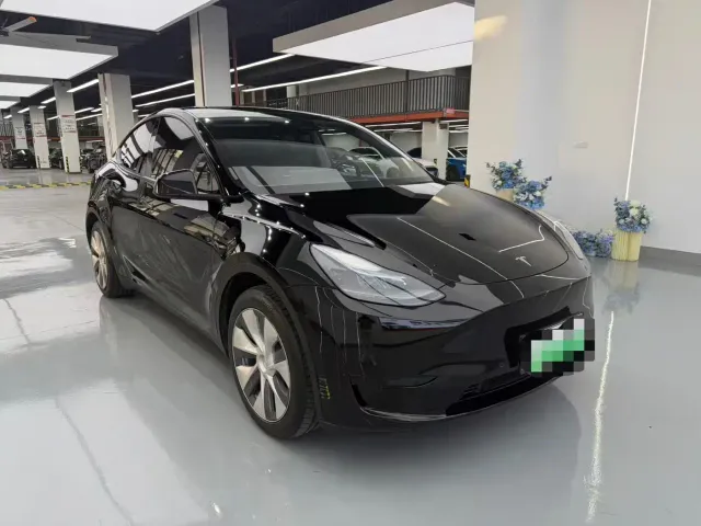 Tesla Model Y — Фото автомобиля 3