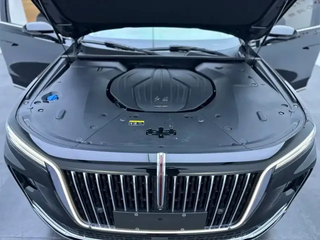 Hongqi Hongqi H9 2020 2.0T Smart Connection Qi Xiang Edition — Фото автомобиля 22