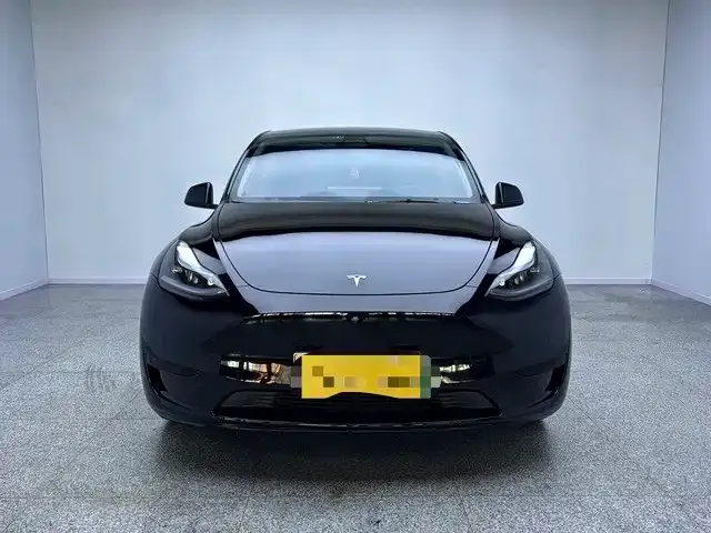 Tesla Model Y — Фото автомобиля 2