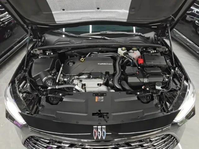 Buick Regal — Фото автомобиля 19