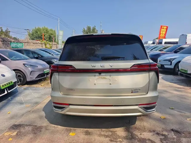Wey Lanshan — Фото автомобиля 8