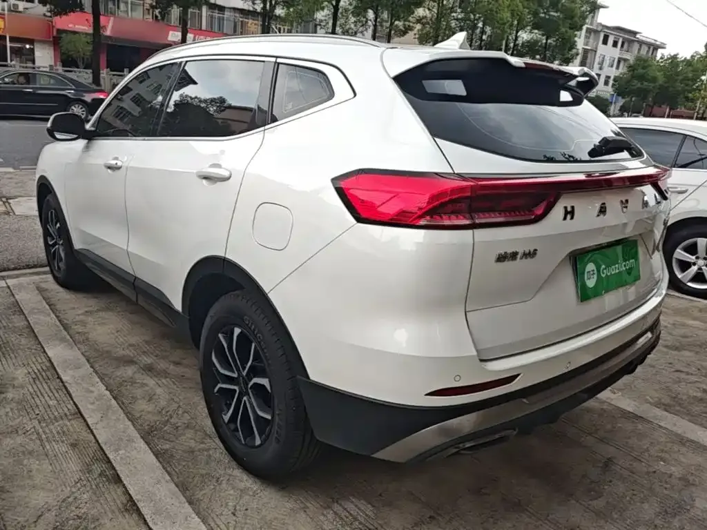 Haval Haval H6 2021 National Trend Edition 1.5T Automatic Urban Edition — Фото автомобиля 4