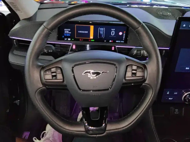 Ford Mustang Mach-E — Фото автомобиля 15