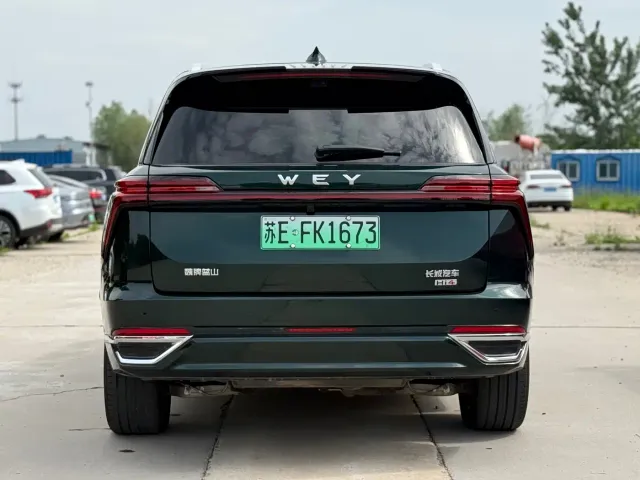 Wey Lanshan — Фото автомобиля 14