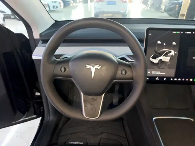 Tesla Model Y — Фото автомобиля 10