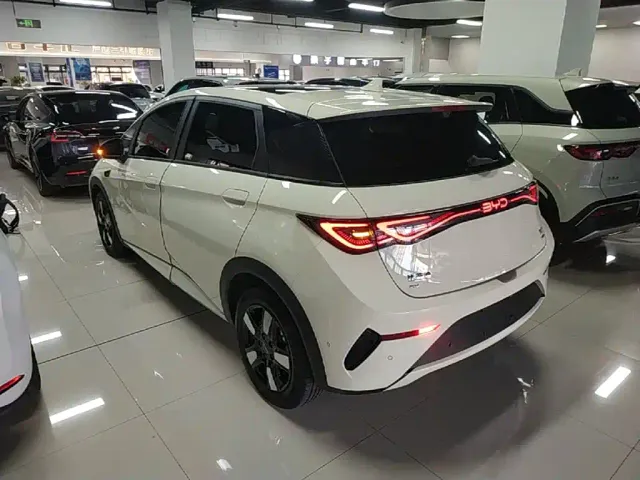 BYD Dolphin — Фото автомобиля 4