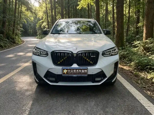 BMW X3 M — Фото автомобиля 2
