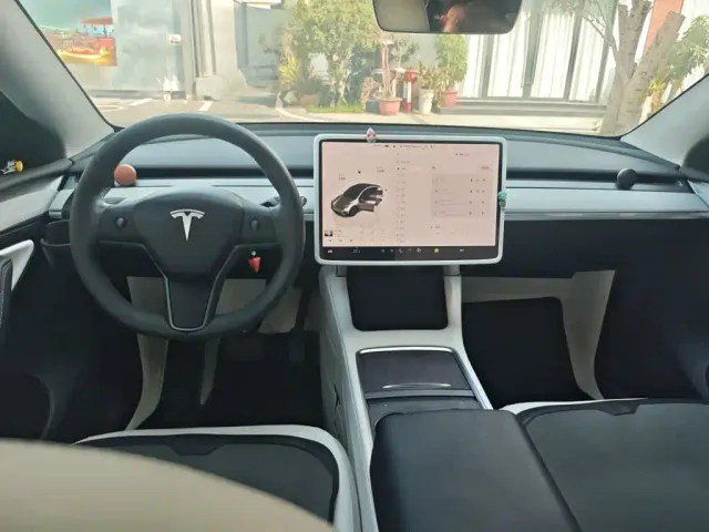 Tesla Model Y — Фото автомобиля 10