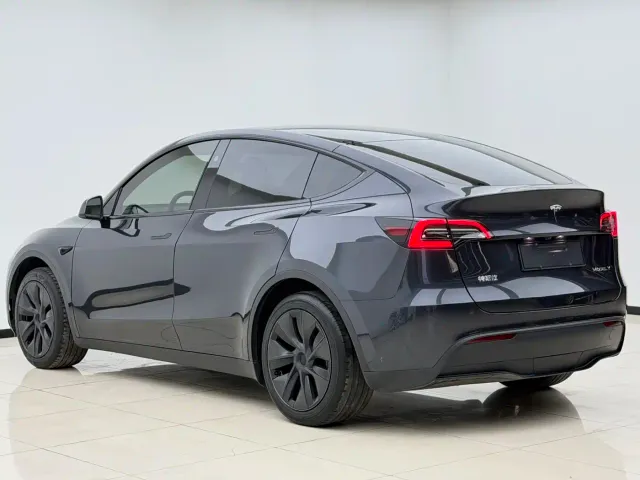 Tesla Model Y — Фото автомобиля 7